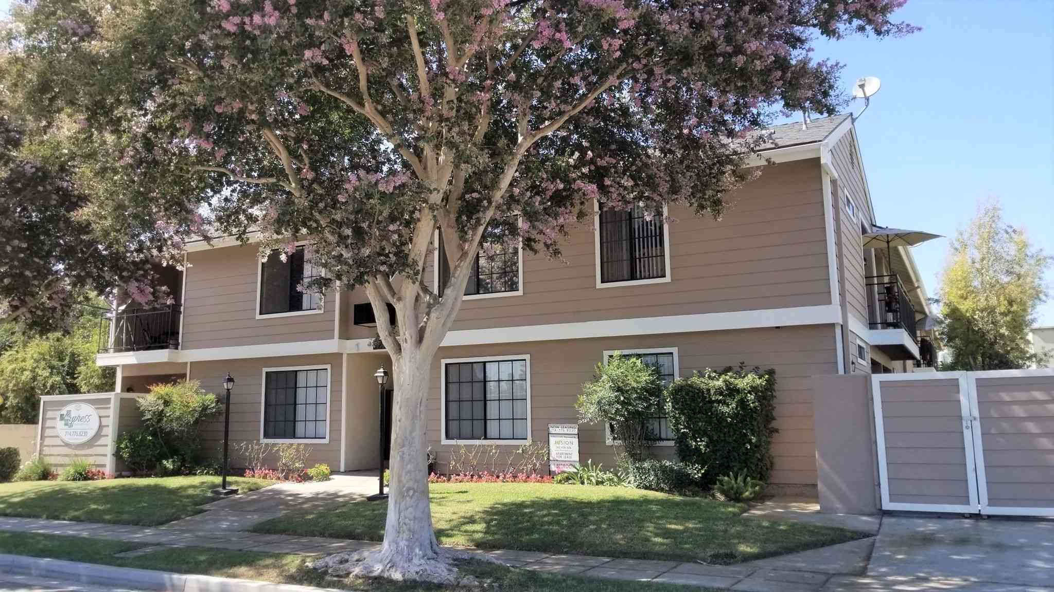 quiet community exterior with mature trees