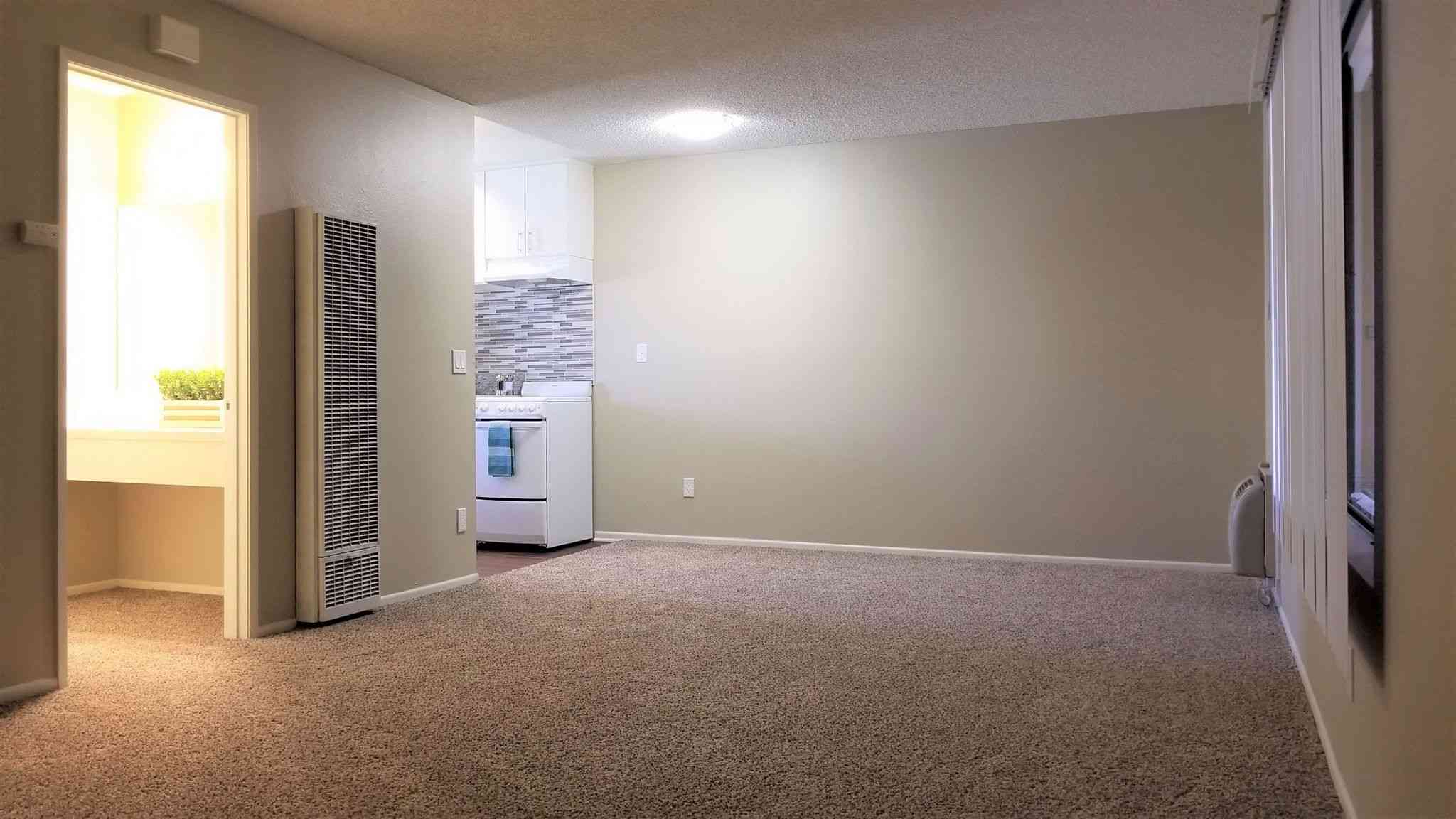 spacious living room with neutral carpet