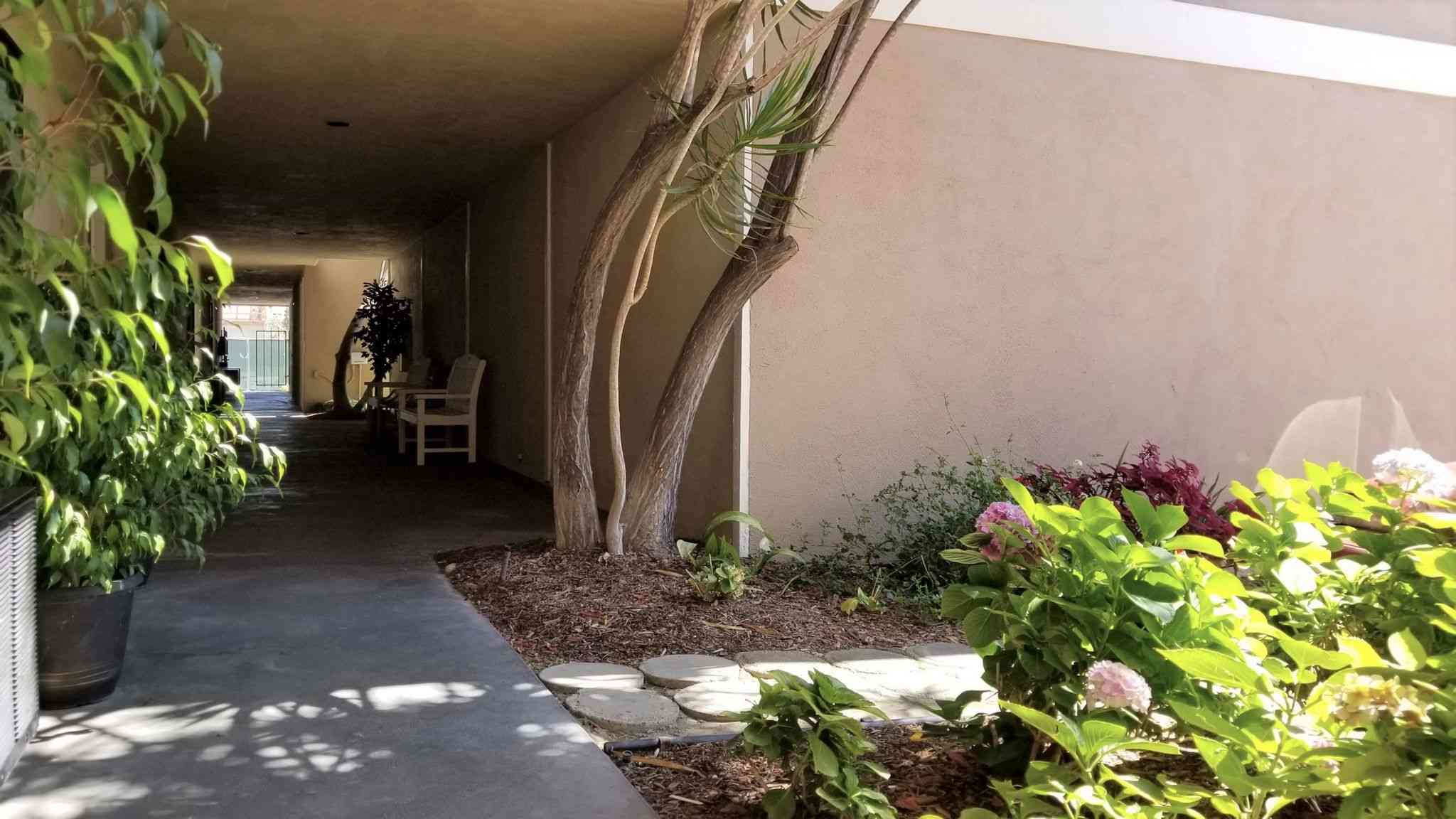 shaded garden walkway and lush landscaping