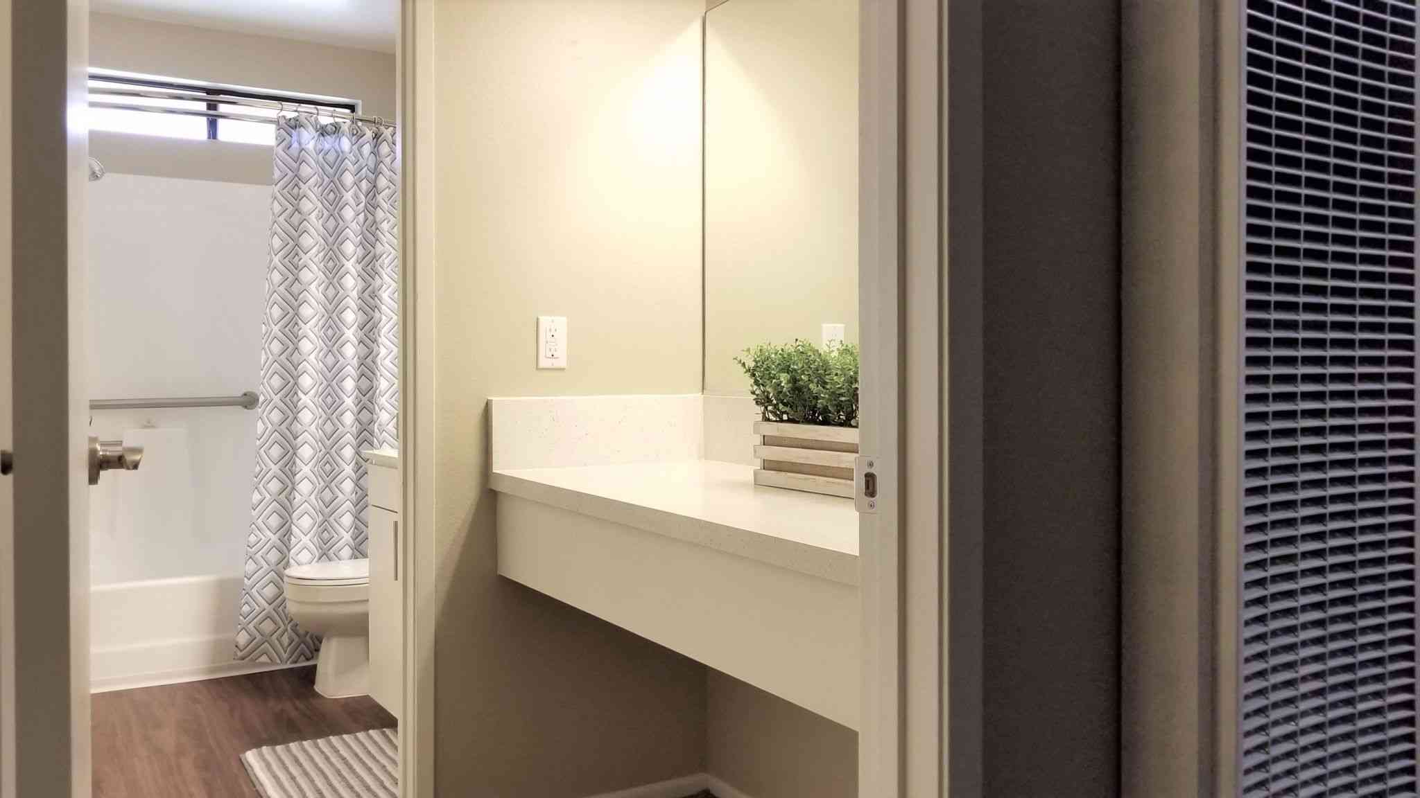 bathroom vanity and shower entry